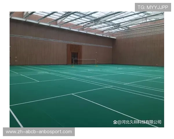 羽毛球塑胶焊接 羽毛球塑胶焊接